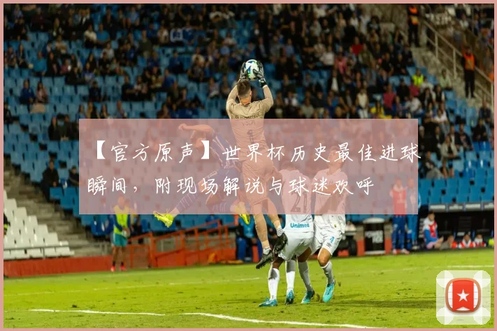 【官方原声】世界杯历史最佳进球瞬间，附现场解说与球迷欢呼