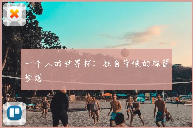 一个人的世界杯：独自守候的绿茵梦想