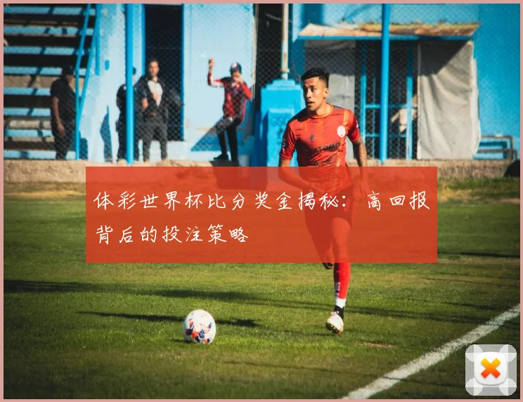 体彩世界杯比分奖金揭秘：高回报背后的投注策略