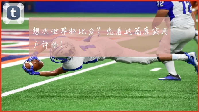 想买世界杯比分?先看这篇真实用户评价!