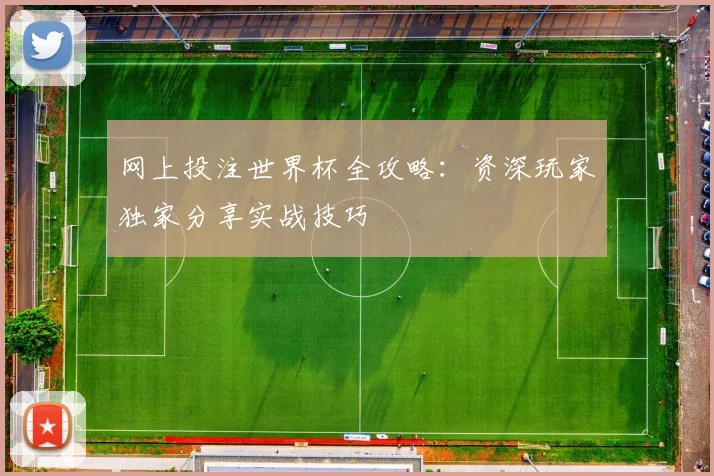 网上投注世界杯全攻略:资深玩家独家分享实战技巧