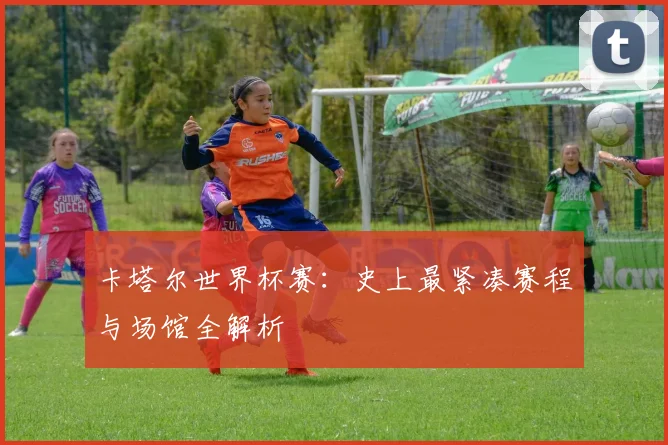 卡塔尔世界杯赛：史上最紧凑赛程与场馆全解析