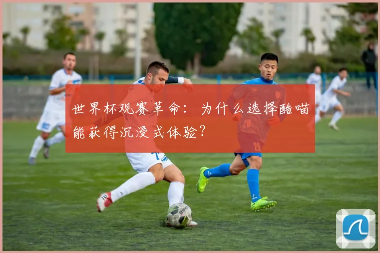世界杯观赛革命：为什么选择酷喵能获得沉浸式体验？