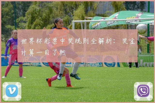 世界杯彩票中奖规则全解析：奖金计算一目了然